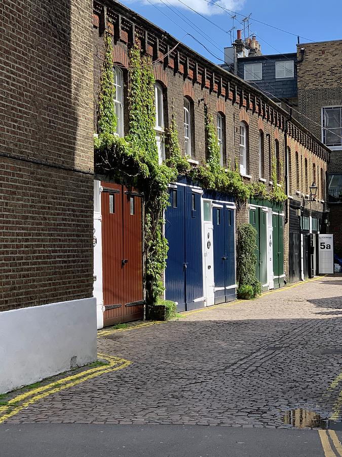 International Ultrasound Services